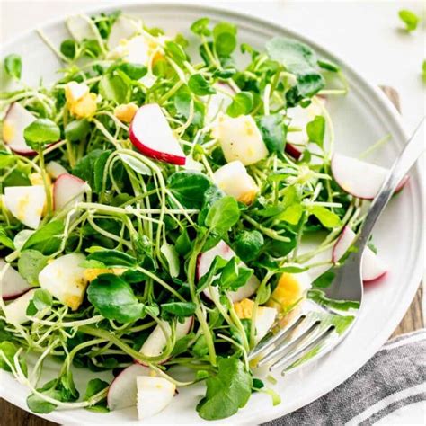 How many protein are in southwest watercress salad - calories, carbs, nutrition