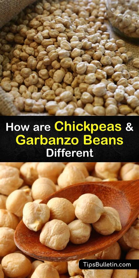 How many protein are in spanish style garbanzo beans - calories, carbs, nutrition