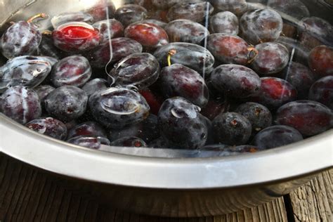 How many protein are in spiced laquered plums (27568.1) - calories, carbs, nutrition