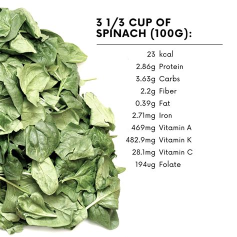 How many protein are in spinach, cranberry, &pumpkin seed salad - calories, carbs, nutrition