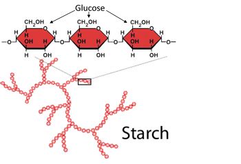 How many protein are in starch stuffing bread (bostwick) - calories, carbs, nutrition