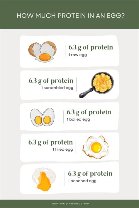 How many protein are in start - calories, carbs, nutrition