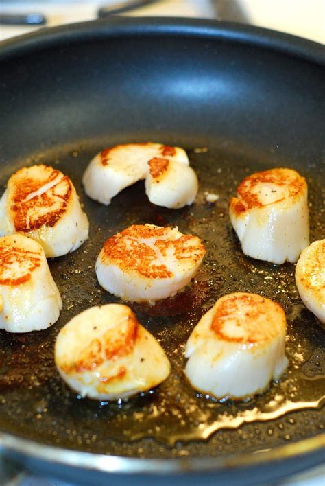 How many protein are in steamed bay scallops - calories, carbs, nutrition