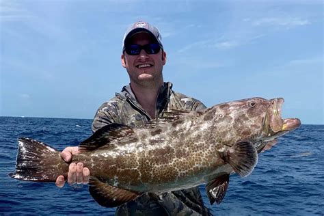 How many protein are in steamers caribbean grouper - calories, carbs, nutrition