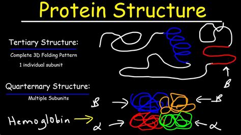 How many protein are in stur-d - calories, carbs, nutrition