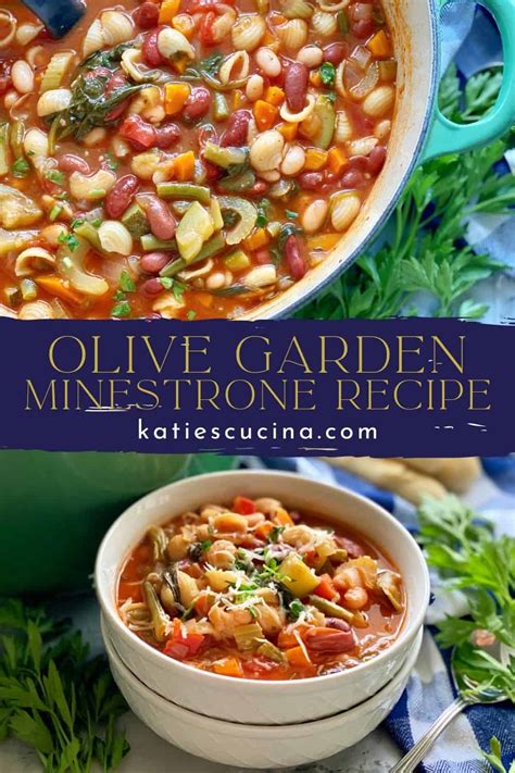 How many protein are in summer garden minestrone soup 12 oz - calories, carbs, nutrition