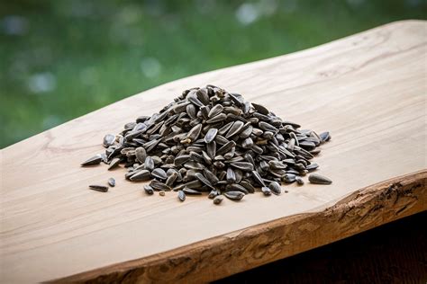 How many protein are in sunflower seeds - bbq - calories, carbs, nutrition