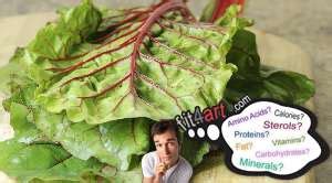 How many protein are in swiss chard - calories, carbs, nutrition