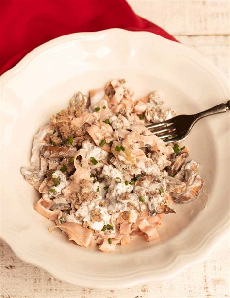 How many protein are in tempeh stroganoff, over noodles - calories, carbs, nutrition