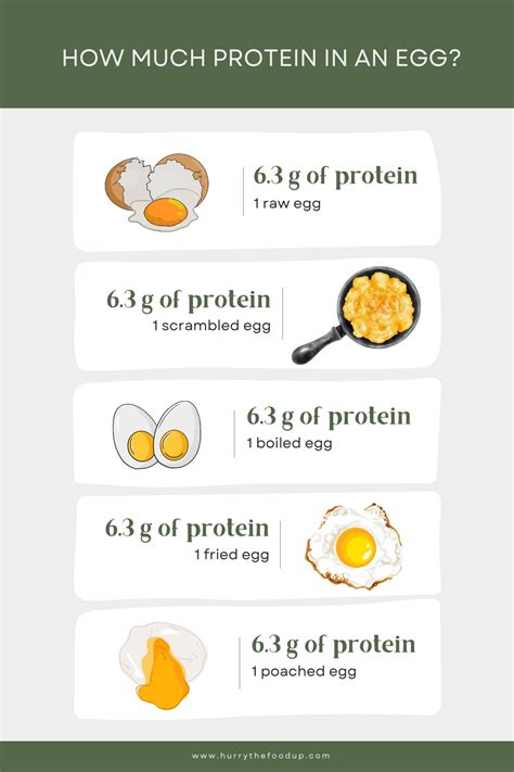 How many protein are in the 