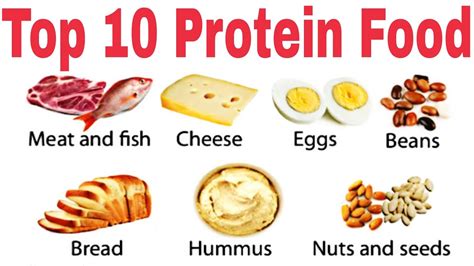 How many protein are in thintini bun. - calories, carbs, nutrition