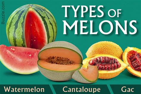 How many protein are in three meat hoagie with watermelon-cantaloupe-honeydew - calories, carbs, nutrition