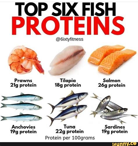 How many protein are in tilapia a la portuguesa - calories, carbs, nutrition