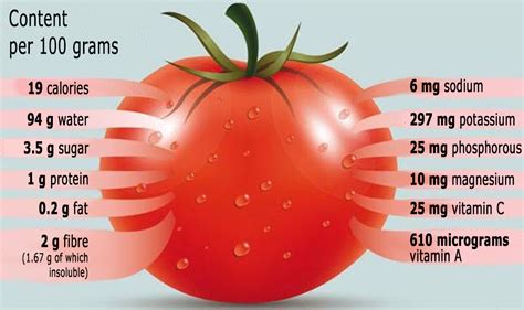 How many protein are in tomato & red onion salad - calories, carbs, nutrition