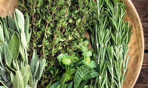 How many protein are in tuscan herb - calories, carbs, nutrition