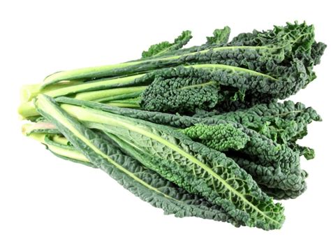 How many protein are in tuscan kale & bean soup - calories, carbs, nutrition