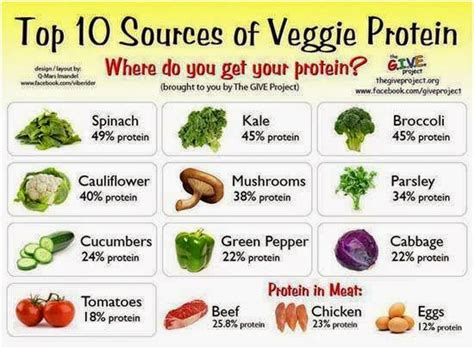 How many protein are in veg tomato chermoula (bostwick) - calories, carbs, nutrition