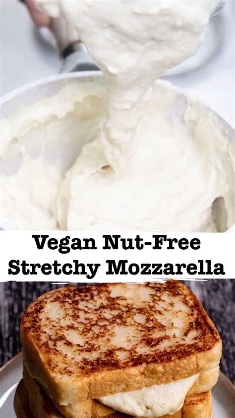 How many protein are in vegan mozzarella cheese sauce - calories, carbs, nutrition