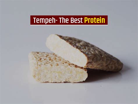 How many protein are in vegan tempeh filling (41584.1) - calories, carbs, nutrition