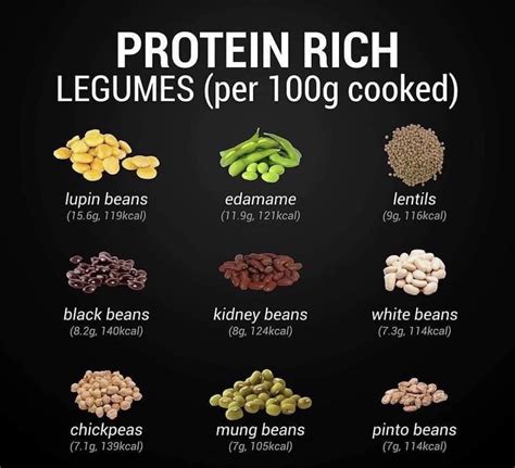 How many protein are in vegetarian pinto bean - calories, carbs, nutrition