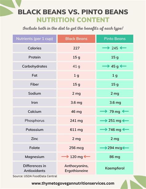 How many protein are in vegetarian pinto beans - calories, carbs, nutrition