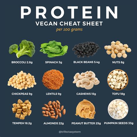 How many protein are in vegetarian sampler - calories, carbs, nutrition