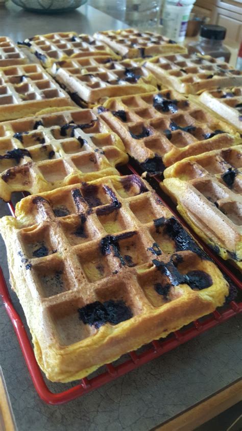 How many protein are in waffles diana and blueberries - calories, carbs, nutrition