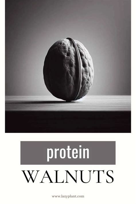 How many protein are in walnut rice - calories, carbs, nutrition