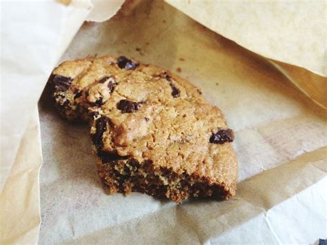 How many protein are in warm chocolate chip lava cookie - calories, carbs, nutrition