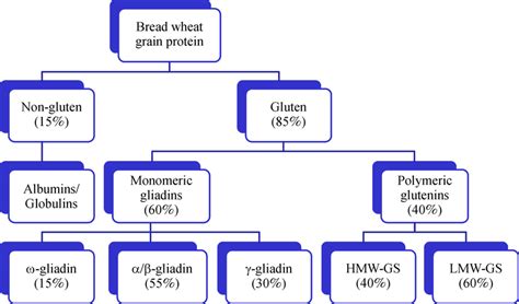 How many protein are in wheat germ (63359.0) - calories, carbs, nutrition