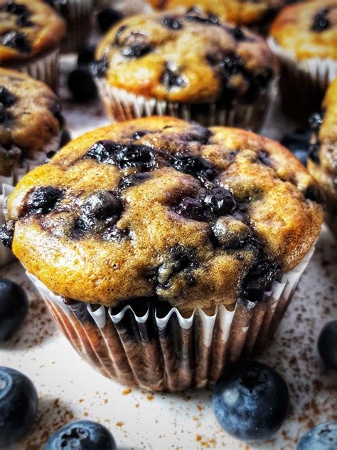 How many protein are in wild blueberry muffin - calories, carbs, nutrition