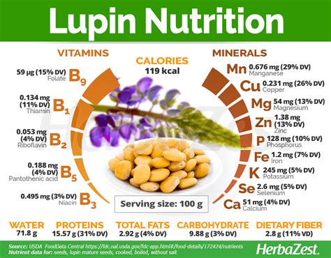 How many protein are in witte lupine - calories, carbs, nutrition