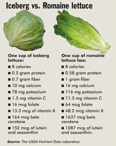 How many sugar are in cos lerttuce - calories, carbs, nutrition