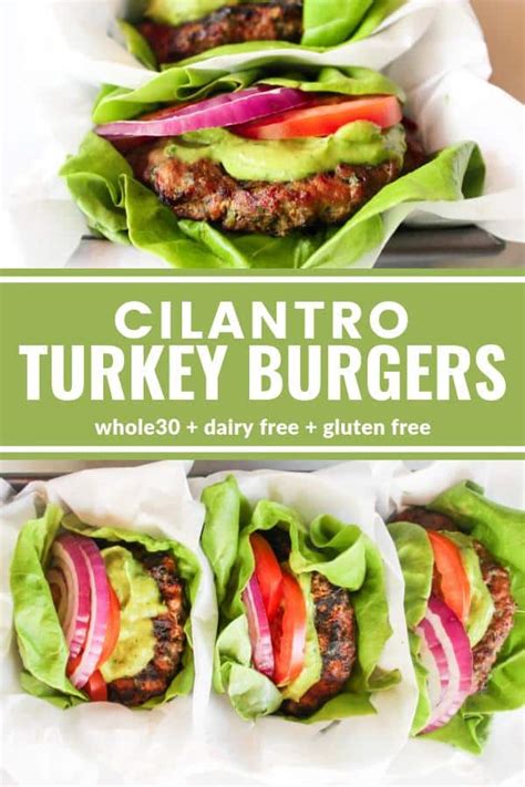 How many sugar are in dbl spicy cilantro turkey burger - calories, carbs, nutrition