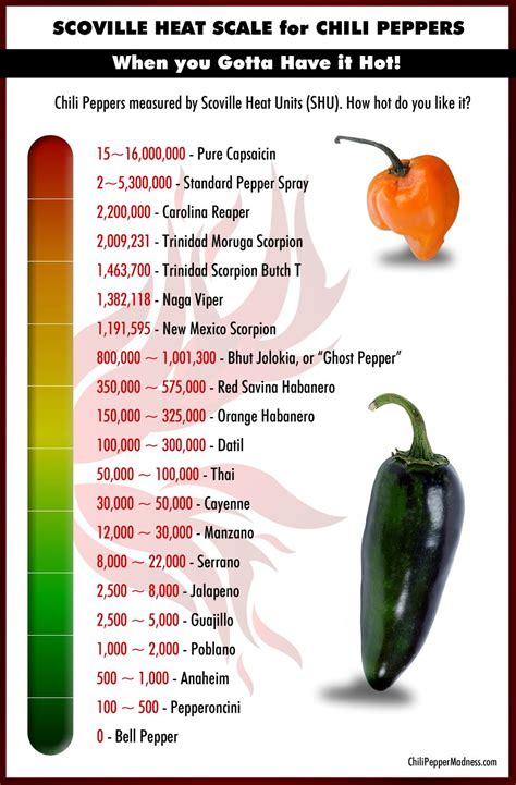 How many sugar are in dynamite jalapeno - calories, carbs, nutrition