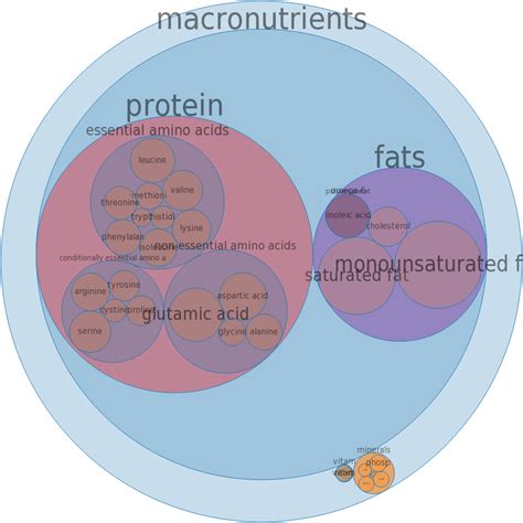 How many sugar are in egg, turkey, whole, fresh, raw - calories, carbs, nutrition