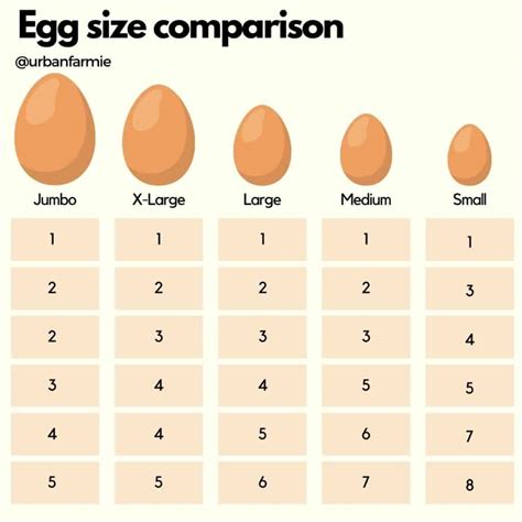 How many sugar are in eggs large - calories, carbs, nutrition