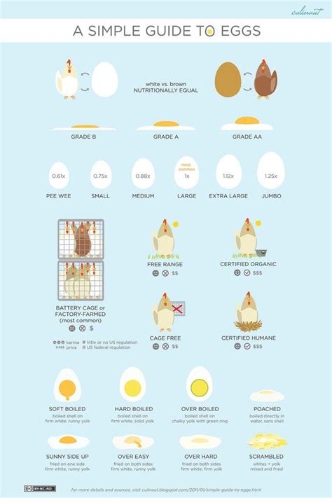 How many sugar are in fried free range egg - calories, carbs, nutrition