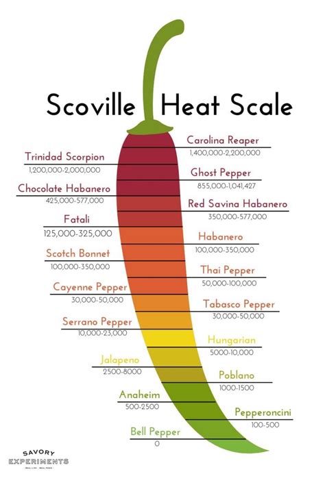 How many sugar are in garden chili - calories, carbs, nutrition