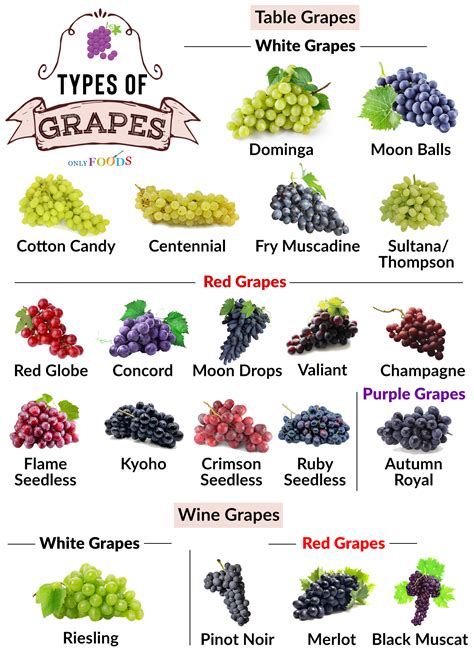 How many sugar are in grapes to go - calories, carbs, nutrition