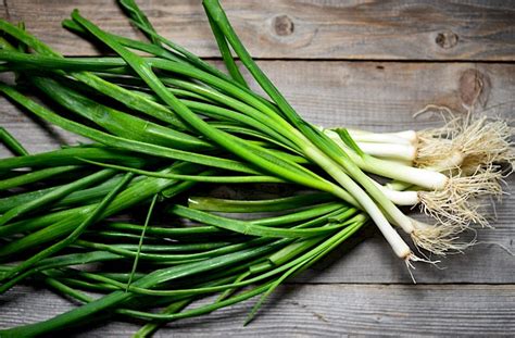 How many sugar are in green onions, fresh - calories, carbs, nutrition