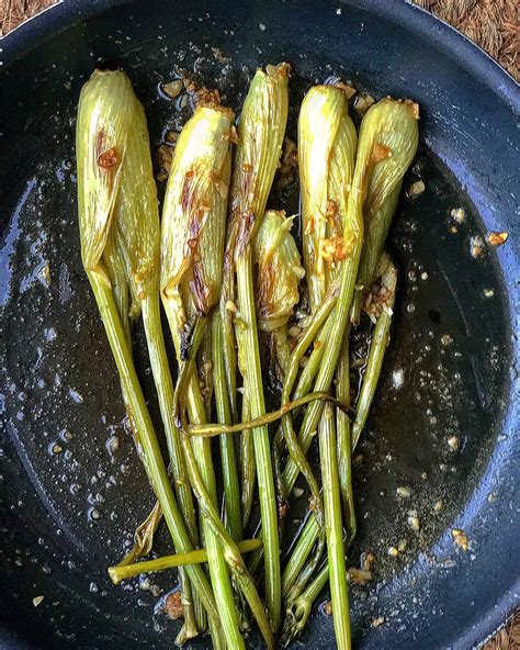 How many sugar are in grilled fennel - calories, carbs, nutrition