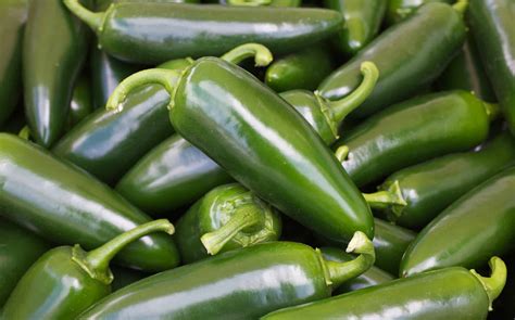 How many sugar are in jalapeno light - calories, carbs, nutrition