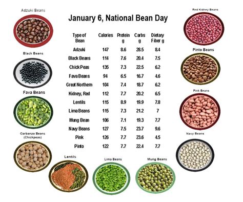 How many sugar are in kidney beans - calories, carbs, nutrition