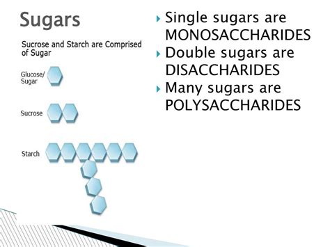 How many sugar are in large double double - calories, carbs, nutrition