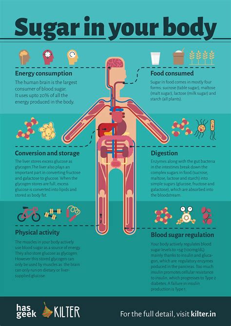 How many sugar are in lean body - calories, carbs, nutrition