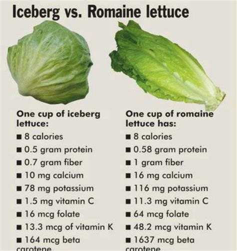 How many sugar are in lettuce - calories, carbs, nutrition