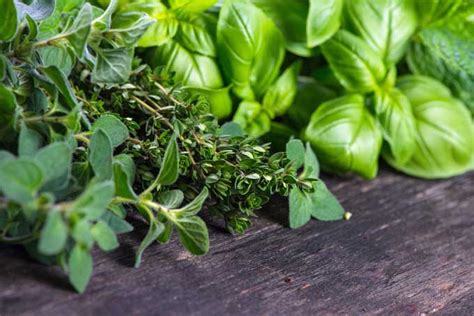 How many sugar are in mediterranean butter with fresh herbs - calories, carbs, nutrition
