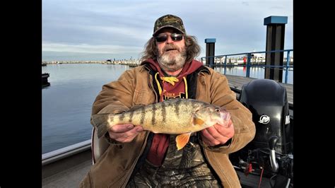 How many sugar are in michigan perch - calories, carbs, nutrition