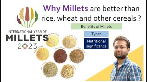 How many sugar are in millet rice cereal - calories, carbs, nutrition